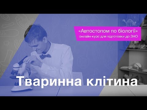 Видео: Тваринна клітина – Підготовка до ЗНО – Біологія