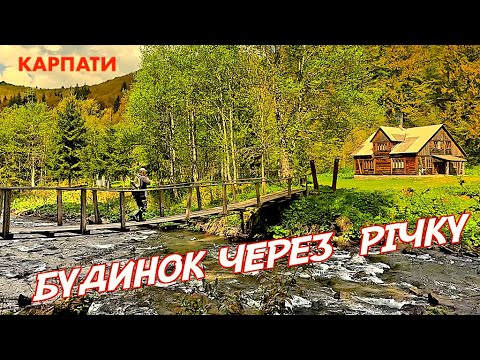 Видео: Живу в лісовому казковому будинку з каміном, шукаю вовків. Дикі міста Карпат.