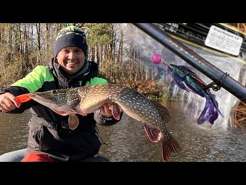 Видео: ✅Чудо РАК ловить велику ЩУКУ! Новий РЕКОРД!😍 Осінній ТРОФЕЙ!🏆