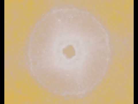 Видео: Натали - Гармония