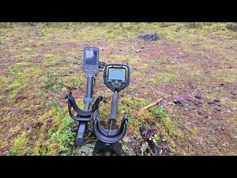 Видео: Кто победит - Тихон или Мантикора? Разница в цене 10 раз! Tianxun TX-850/Minelab Manticore!
