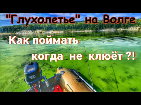 Видео: ПОИСК И ЛОВЛЯ СУДАКА В АВГУСТЕ/ РЫБАЛКА НА СПИННИНИНГ/ СУДАК НА СИЛИКОН/ КУЙБЫШЕВСКОЕ ВДХР./ТОЛЬЯТТИ