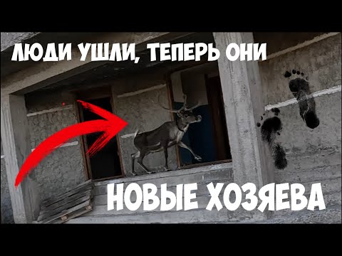 Видео: Заброшенная ветроэлектростанция. Воркута