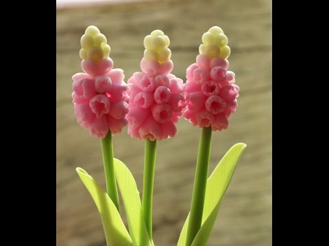 Видео: Лепка мускари из полимерной глины. Часть 2