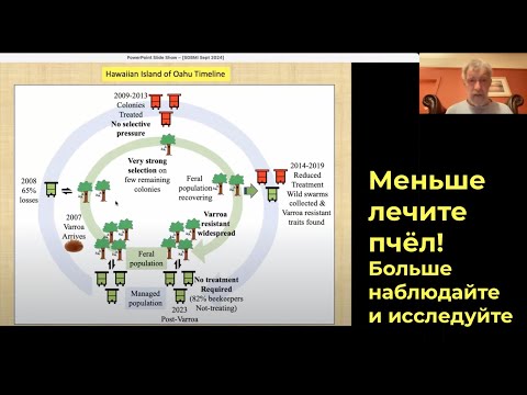 Видео: Эксперименты по подмене матки раскрывают тактику сопротивления клещам варроа! | Стивен Мартин