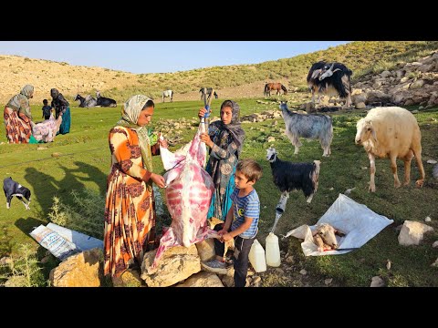 Видео: Кочевая жизнь: смелое путешествие девушек-кочевниц 🐐 | Весенний кочевнический праздник 🔥