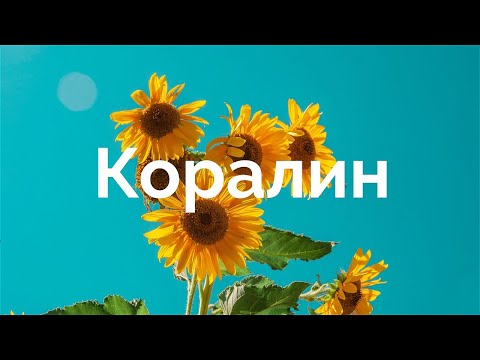 Видео: Måneskin - CORALINE (Перевод на русский) 🌻