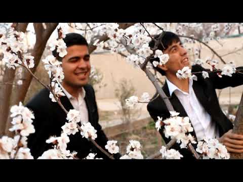 Видео: Бо хам механдем