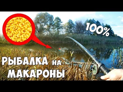 Видео: Рыбалка на МАКАРОНЫ или жорство карася