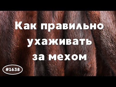 Видео: Стратегии ухода за меховыми изделиями: Советы, чтобы ваша вещь служила долго.