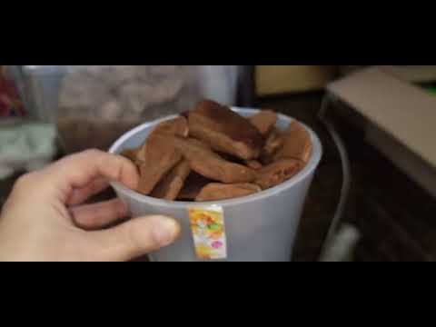 Видео: Презентация ГАЛТОВАННОЙ СОСНОВОЙ КОРЫ КЛАССА ЛЮКС ОРХОРАЙ.