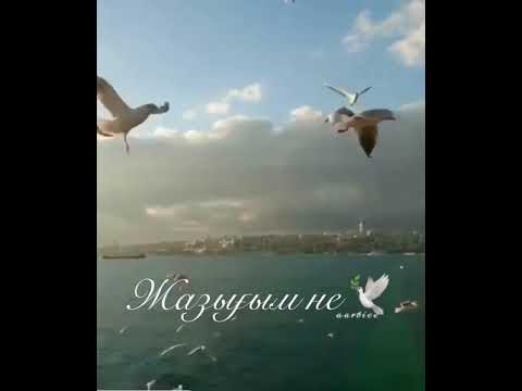 Видео: Ән жинақ 5 / Айнаш Садуақас / тек казакша андер