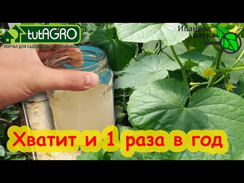 Видео: ВНЕСИТЕ ХОТЯ БЫ РАЗ В ГОДУ и это копеечное средство ДАСТ ОГРОМНЫЙ УРОЖАЙ! Кормилица Триходерма-КМЕ.