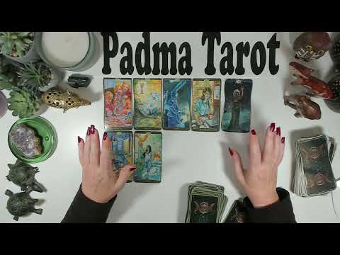 Видео: СКОРПИОН♏️ЭТО ВАШ БИЛЕТ! 10-16 НОЯБРЯ Еженедельное гадание на картах Таро 🔮💫