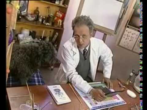 Видео: Химия 8. Классификация химических веществ — Академия занимательных наук