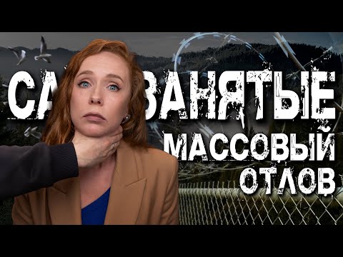Видео: Самозанятость была ошибкой? Правительство душит бизнес с самозанятыми!