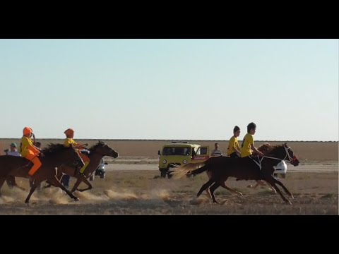 Видео: Бәйге. Ысық Мұханбет шаңырағындағы той. Жаңаөзен. 2024 ж.