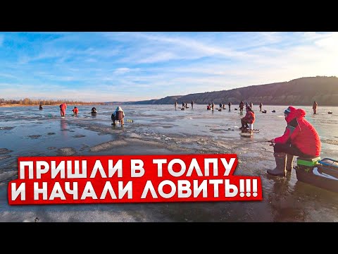 Видео: ТОЛПОЙ ГОНЯЕМ СТАЮ РЫБЫ! Рыбалка на Дону! Ловля судака в толпе! Рыбалка с эхолотом практик 6м