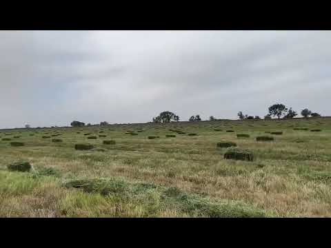 Видео: Пресс подборщик Киргистан, отзыв клиента 