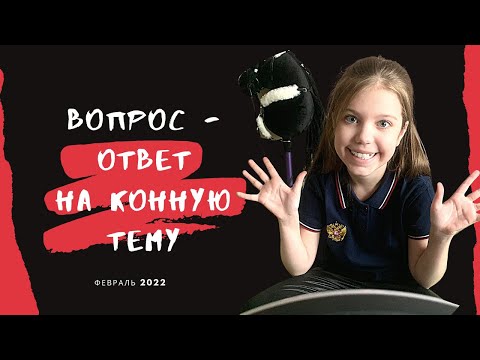 Видео: ВОПРОС-ОТВЕТ на конную тему #вопросответ