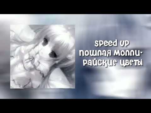 Видео: Speed up пошлая молли - райские цветы