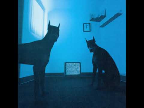 Видео: кровь из носа, Metox зубы