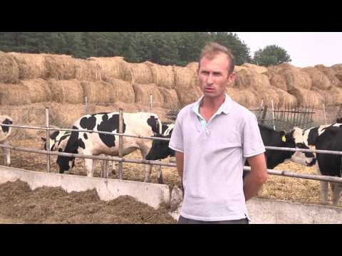 Видео: Гордость республики - Цивильский район - 2016