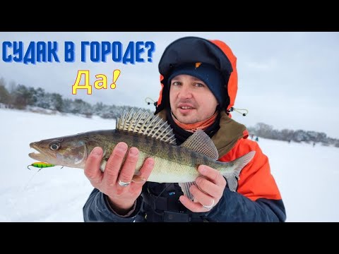 Видео: БАЛАНСИРинг в городе. Как мы ловили судака со льда на "Соснах".
