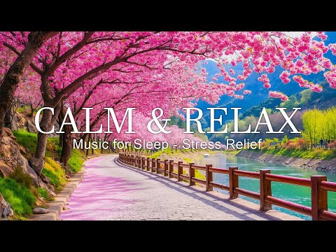 Видео: Успокаивающее фортепиано для релаксации – успокойте разум и восстановите душевное равновесие