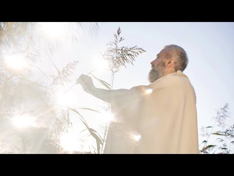 Видео: Работа, думающий ум, медитация, самадхи,женские круги.Мастер Пранава