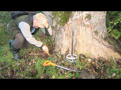 Видео: РАСКОПАЛ РЯДОМ с ДУБОМ, а ТАМ ТАКОЕ ПОЛЕЗЛО!!!  КОП на БЕРЕГУ