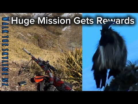 Видео: Большая миссия по погоне за таром и оленем — Hunting NZ — 300 wsm