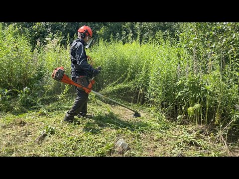 Видео: Покос травы в Бояркино КП Зеленая Опушка