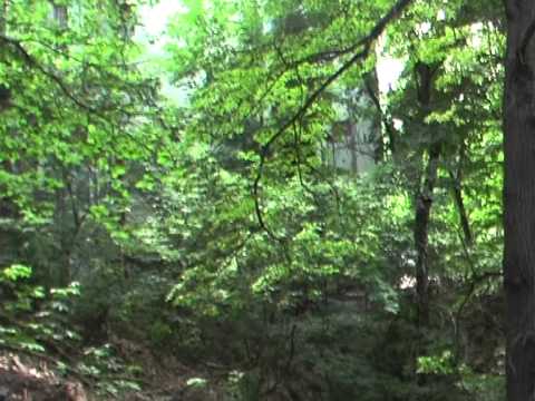 Видео: Киевская амплитуда. Логово Змиево. 3-я редакция (2013)