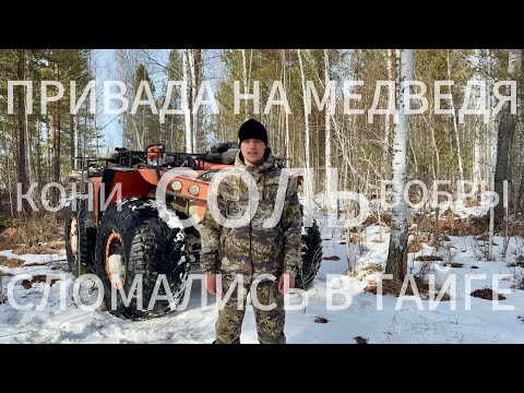 Видео: МЕДВЕДЬ | ПРИВАДА | СЛОМАЛИ ТРАКТОР В ТАЙГЕ | СОЛОНЕЦ | ЛОШАДИ | БОБРЫ