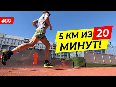 Видео: План подготовки и гонки для быстрой пятёрки! 🏃 Выбегаем 5 км из 20 минут 💪