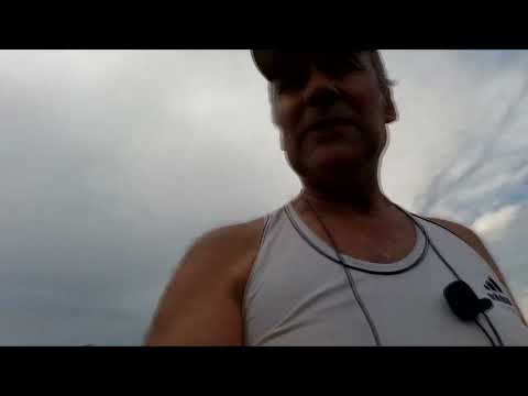 Видео: Сорвал крыжовник, очень много лишнего в огороде.