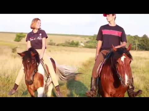 Видео: Приглашаем к нам в конный клуб "Аллюр"!