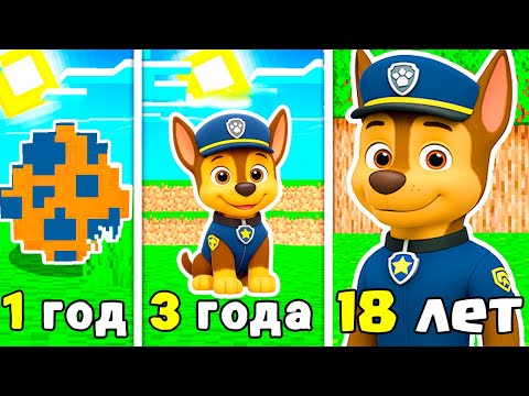 Видео: КАК МЕНЯЛСЯ ГОНЩИК ЩЕНЯЧИЙ ПАТРУЛЬ В МАЙНКРАФТ