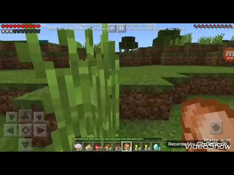 Видео: Лудата сестра