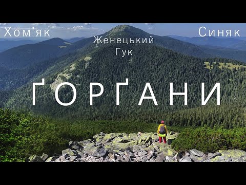 Видео: ҐОРҐАНИ, Карпати. Сходження на Хом'як, Синяк. Полонина Хом'яків. Водоспад Женецький Гук.