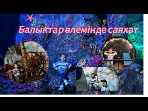 Видео: БАЛЫҚТАР ӘЛЕМІНЕ САЯХАТ | NEYLA ӘЛЕМІ