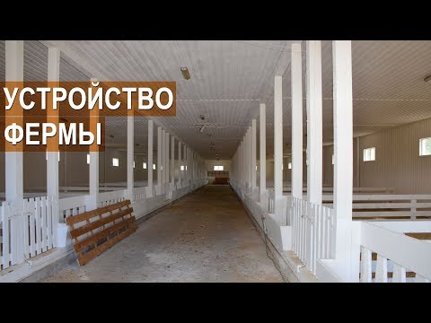 Видео: Как устроена ферма для овец. СХП Катумы