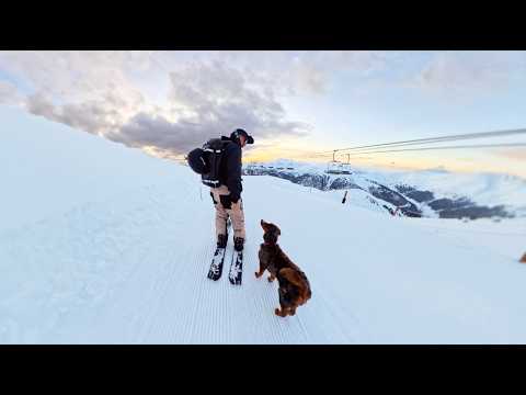 Видео: Катание на лыжах с моей собакой
