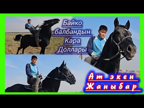 Видео: Если в каждом уголке Кыргызстана есть ребенок, пусть попробует 👆 Пусть покатается на ребенке 👆