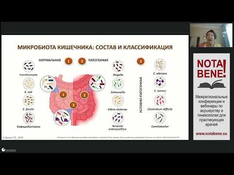 Видео: 27.08.2025 Микробиом, эстроболом и менопауза и их влияние на риск здоровью женщины