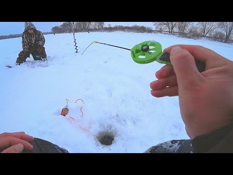 Видео: БЕЗМОТЫЛКА не оставит без рыбы! Ловля плотвы, подлещика и окуня на безмотылку зимой! Зимняя рыбалка