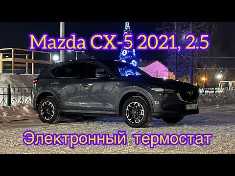 Видео: Электронный термостат Mazda CX-5 2021. Webasto TTE Start, постоянно циркулирует по большому кругу.