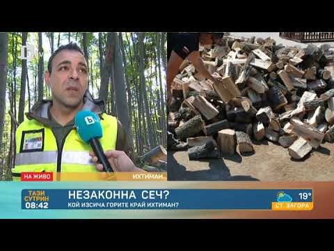 Видео: Тази сутрин: Поредна незаконна сеч край Ихтиман