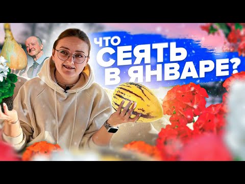 Видео: ПОРА! Что сеять в январе на рассаду?